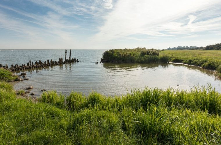 Uitzicht over het Oudemirdumerklif met wilde bloemen en vogelrichtlijnen in het Friese landschap