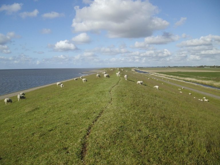 Wandeling: ‘Ontdek het nationaal landschap met een local’ — natuur in Oudemirdum