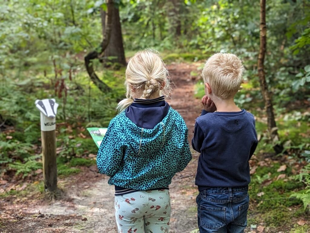 Het dassenpad – routeboekje in Oudemirdum