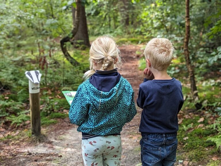 Het dassenpad – routeboekje — familie-kids in Oudemirdum