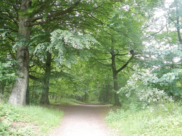 Packraften in Gaasterland — natuur in Oudemirdum